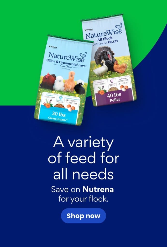 Purina Pro Plan Sensitive Skin and Stomach 7 Plus Salmon and Rice Formula Dry Dog Food