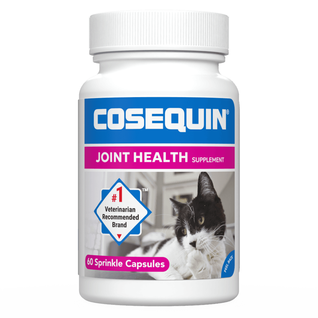 Cosequin DS Joint Health Supplement for Dogs