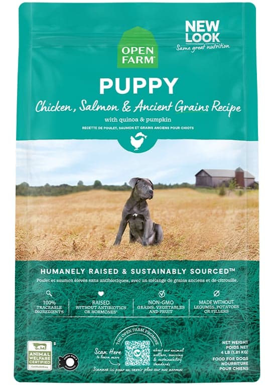 Chicken & Salmon Ancient Grains Puppy Kibble