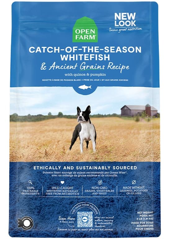 Whitefish & Ancient Grains Dog Kibble