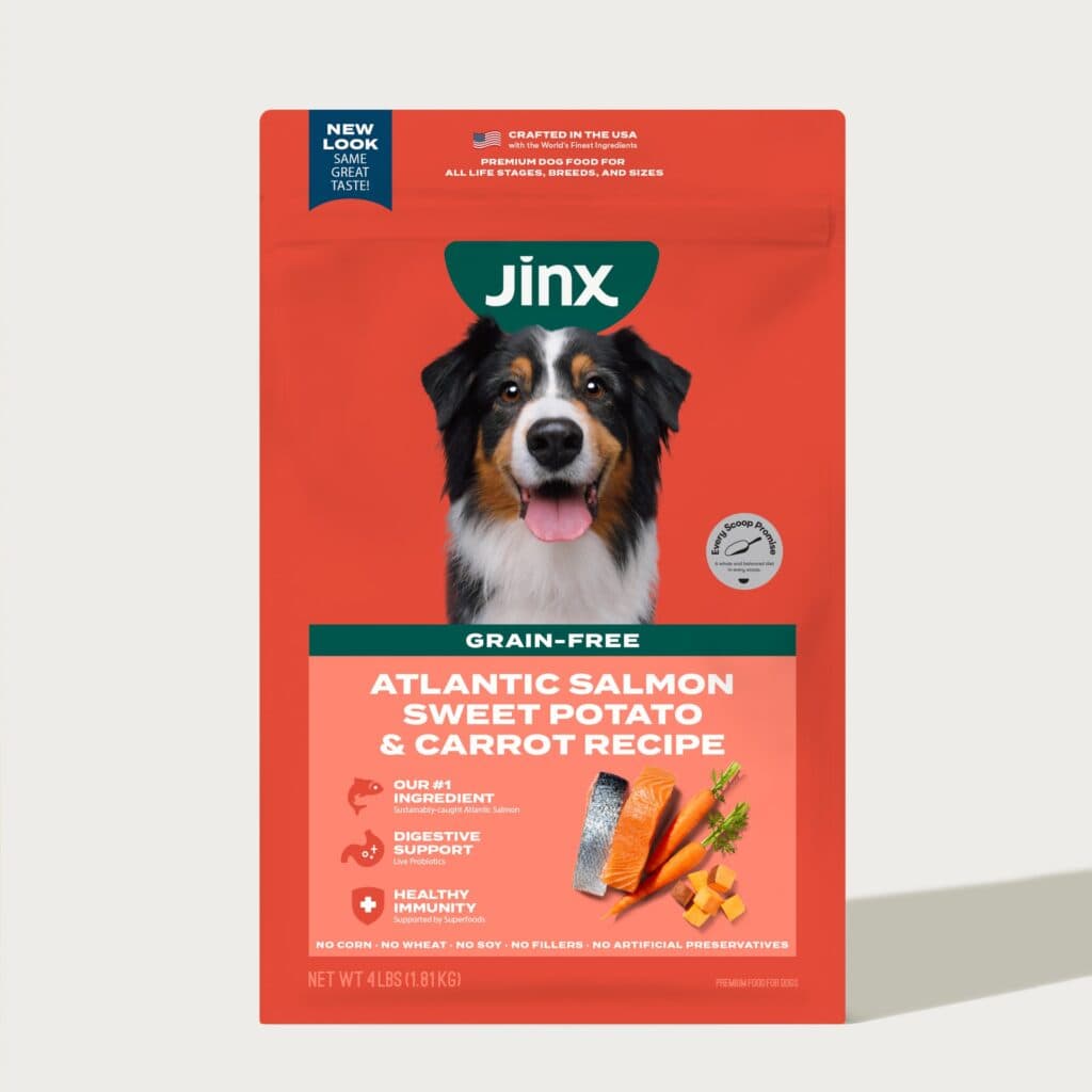 Grain-Free Atlantic Salmon and Carrot Dry Dog Food